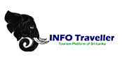 INFO Traveller-min (2)